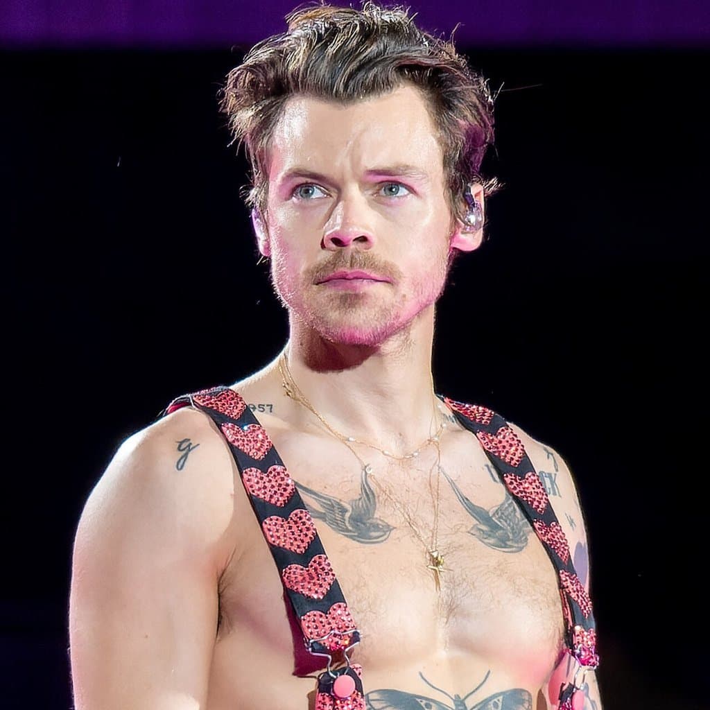 icon for Harry Styles
