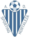 AD Sporting Hortaleza