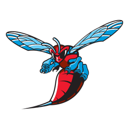 Delaware State Hornets