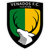 vds icon
