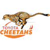 Cheetahs