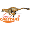 Cheetahs