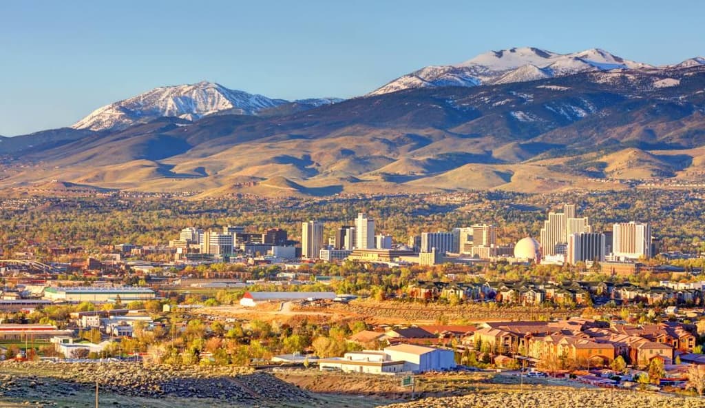 2026 Reno Mayoral Election Winner card icon