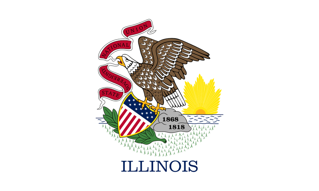 icon for IL-17 House Election Margin of Victory