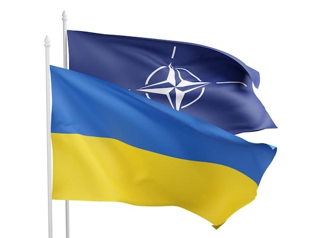 icon for NATO/EU troops fighting in Ukraine by...?