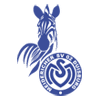 msv icon