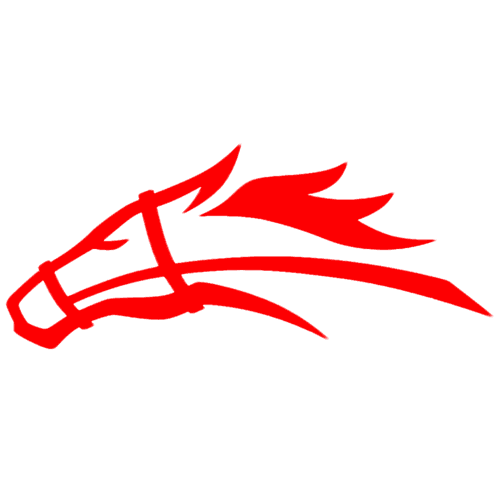 Stallions logo
