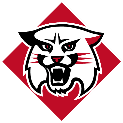Davidson Wildcats