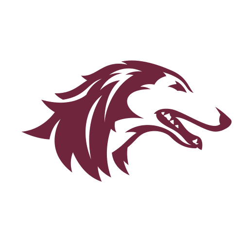 Southern Illinois Salukis