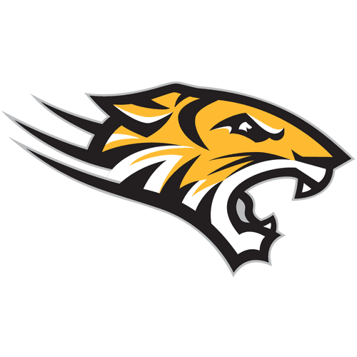 Towson Tigers