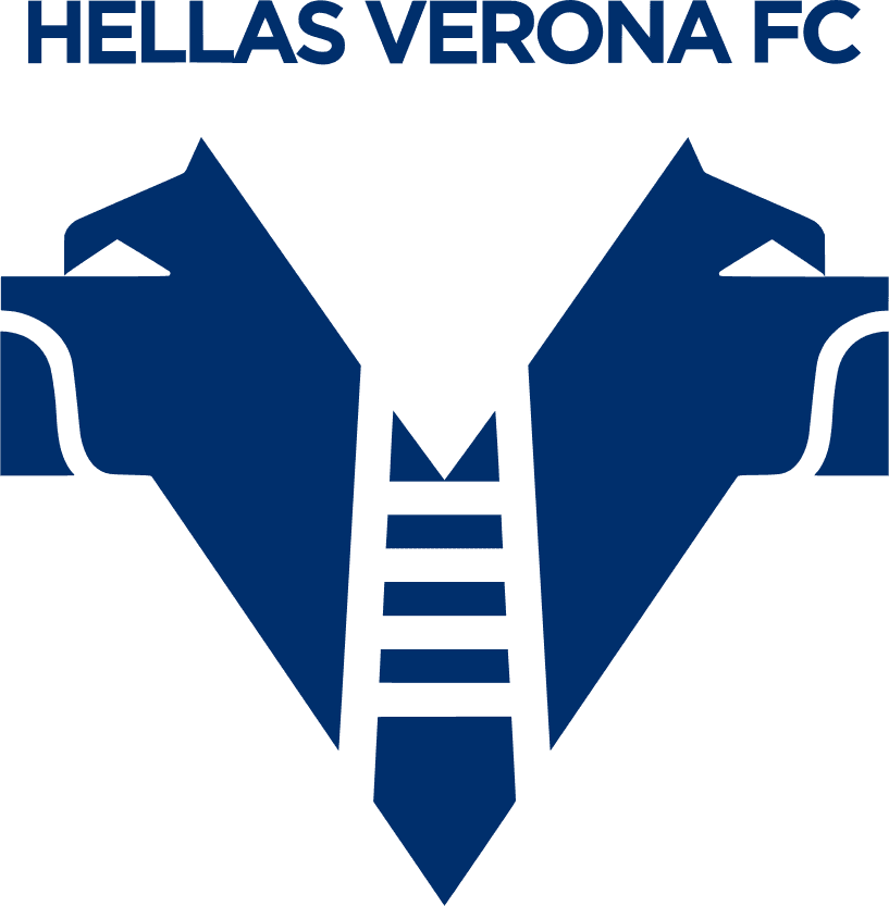 ver icon