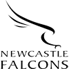 Newcastle Red Bulls