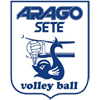 ara icon