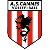 as icon