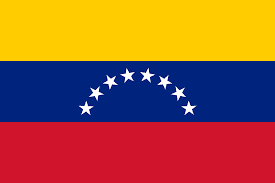 icon for Venezuela election scheduled by December 31, 2026?